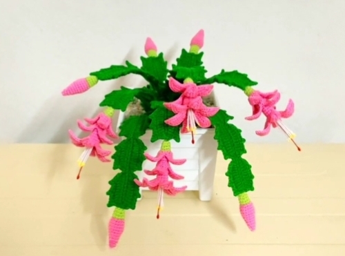 Crochet Christmas Cactus