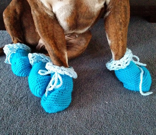 Crochet Dog Booties