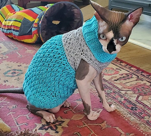 Alpine Cat Sweater Crochet Pattern