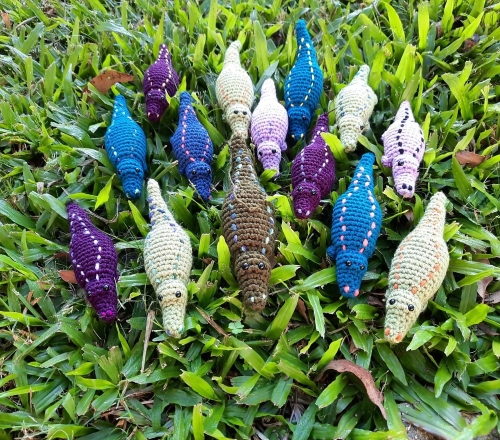 Mini Crocodile Group