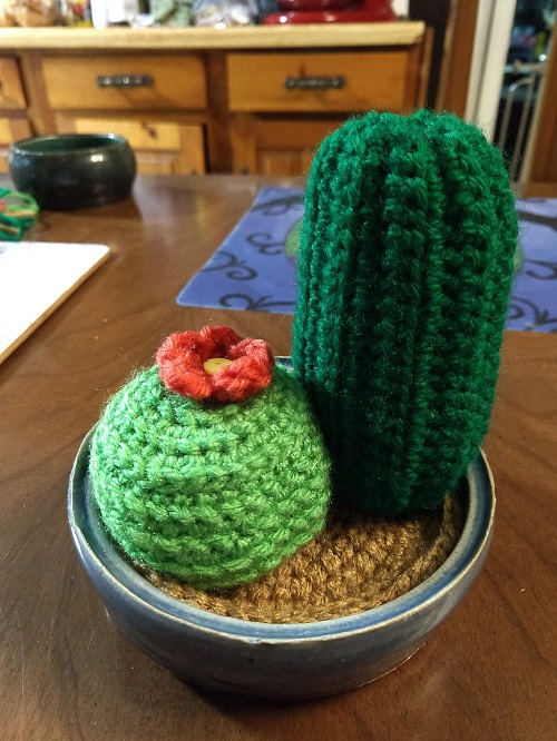 Crochet Flowering Cactus Free Patterns