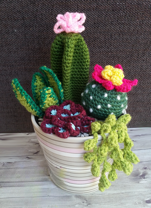 flowering succulents crochet