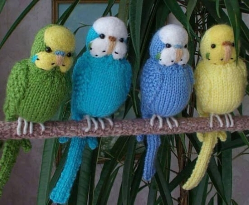 Crochet Parakeet Group Free Pattern