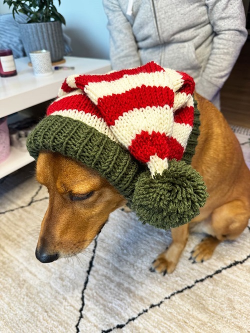 Crochet Hats for Dogs Free Patterns 3