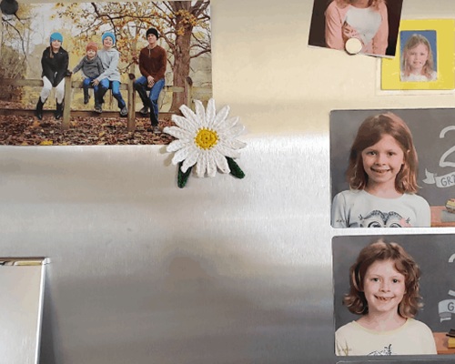 Daisy Fridge Magnet Pattern