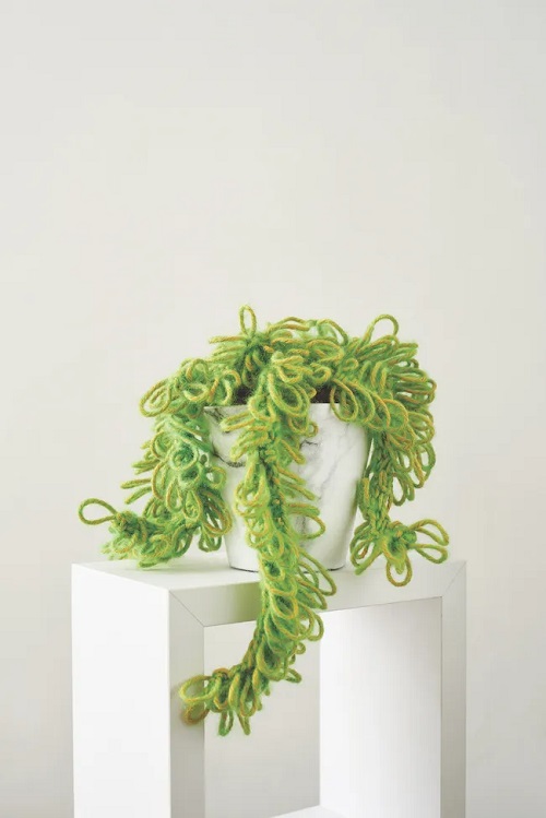 Free Easy Crochet Houseplant 3