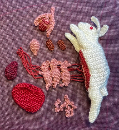 Dissected Crochet Rabbit
