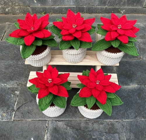 Crochet Poinsettia Flower
