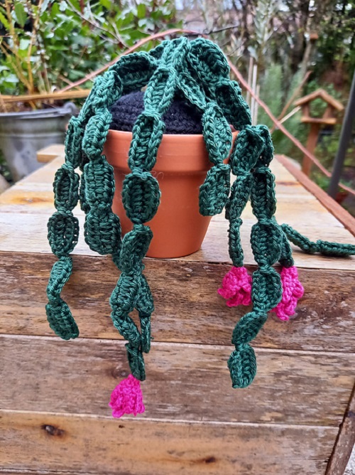 crocheted flowery succulent pattern