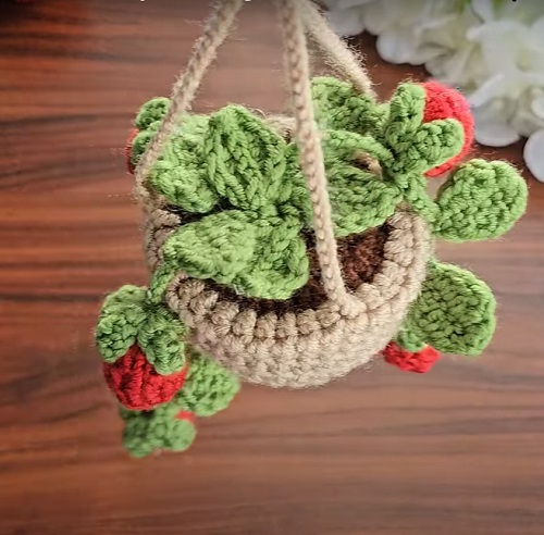 Mini Hanging Plant Crochet Patterns 3