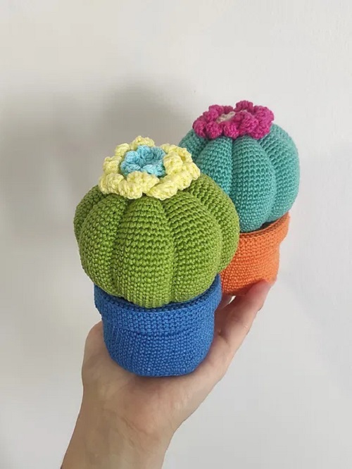 pumpkin shaped cactus free crochet pattern