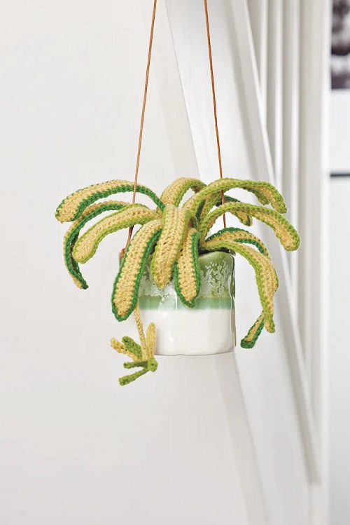 Crochet Spider Plant Free Patterns 1