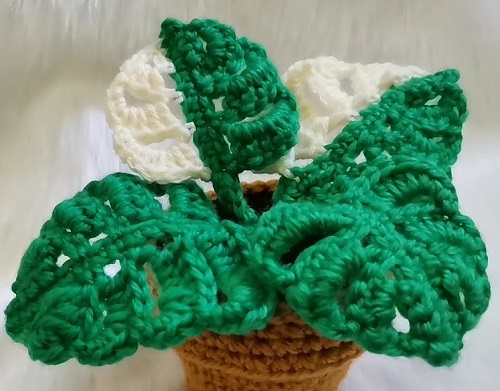 Easy and Cute Monstera Plants Crochet Pattern