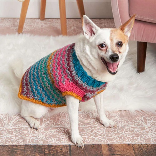 Pet Sweater Crochet Free Patterns 2