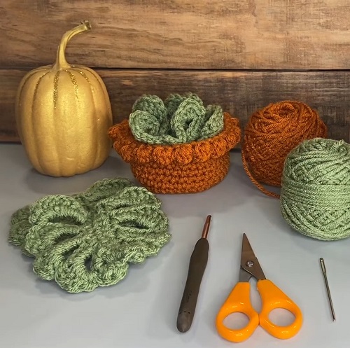 Monstera Leaf Coasters & Planter