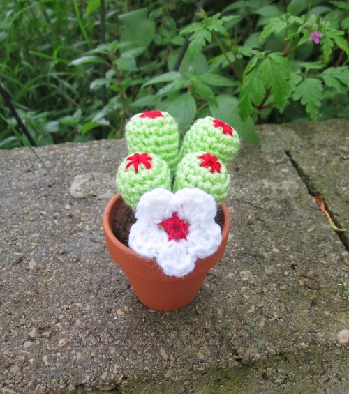 Crochet Flowering Cactus Free Patterns 4