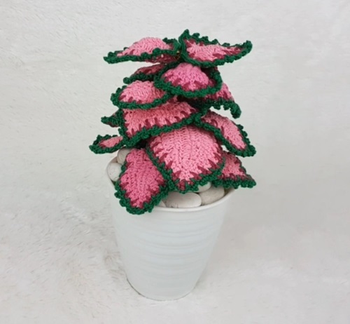 Stunning Crocheted Coleus