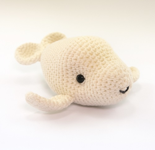 Beluga Whale