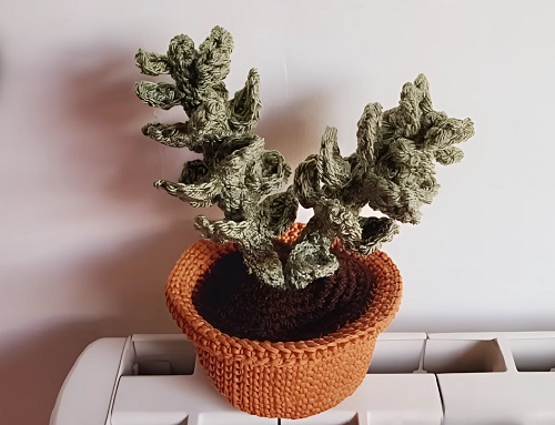crochet jade plant free pattern