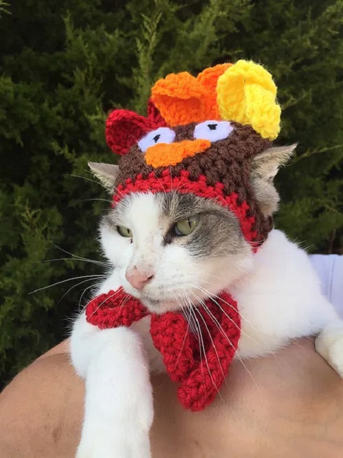 Crochet Cat Hat Free Patterns 5