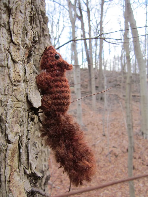 No-Sew Squirrel