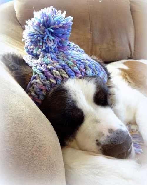 Crochet Hats for Dogs Free Patterns 1
