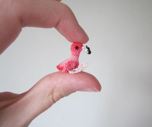 Roy the Tiny Flamingo