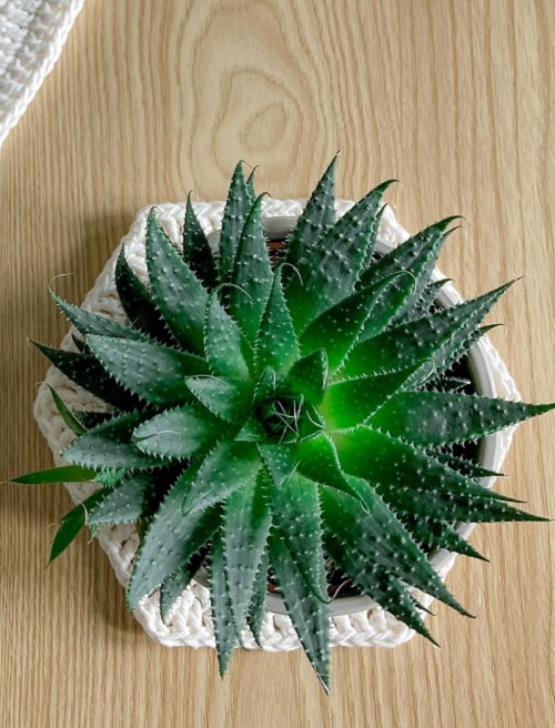 Cotton Hexagon Crochet Table Mats
