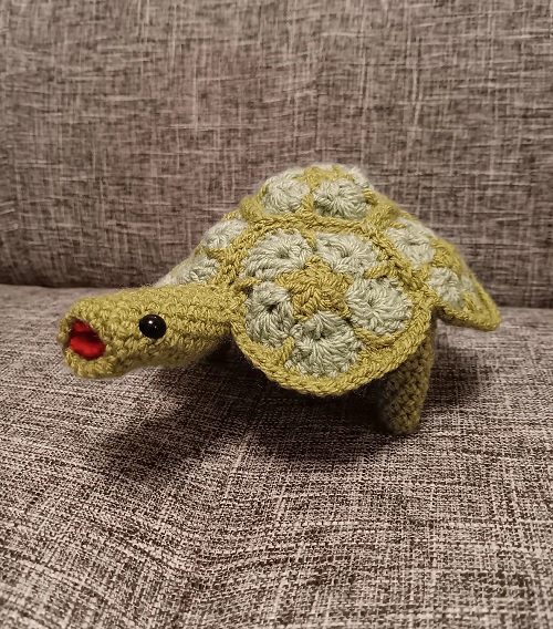 Tortellini African Flower Tortoise
