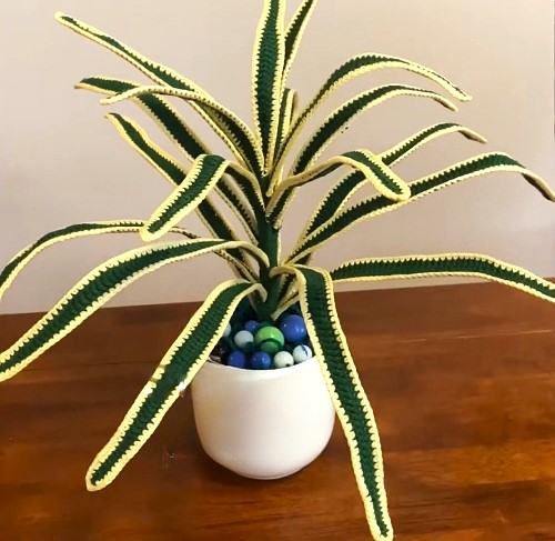 Crochet Variegated Spider Plant