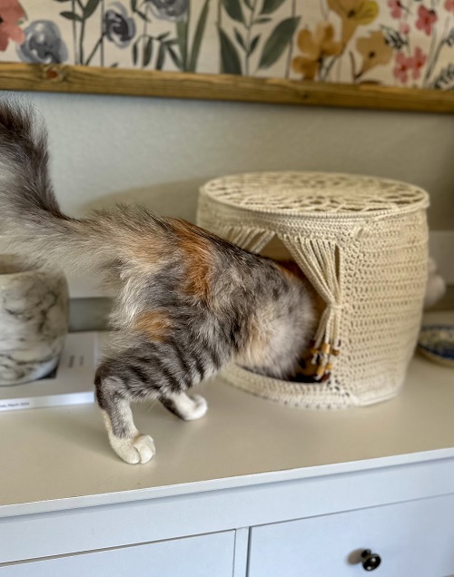 Crochet Cat Cave Free Patterns 3
