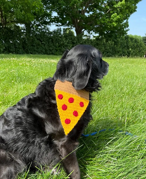 Crochet Pet Bandana Free Patterns