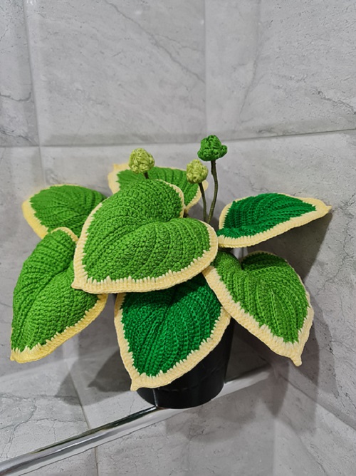 Crocheted Hosta Plant