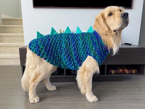 Crocheted Dinosaur Dog Sweater