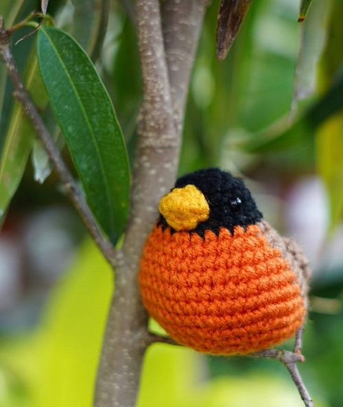Free Crochet Pattern - American Robin