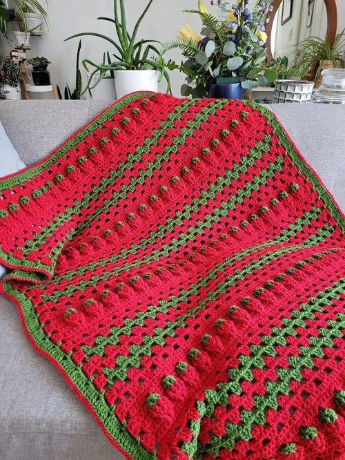 Strawberry Summer Blanket Crochet Patterns 3