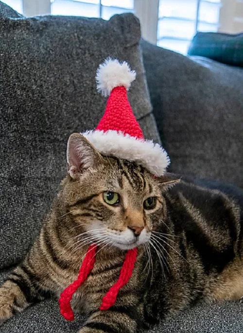 Best Crochet Cat Hat Free Patterns 1