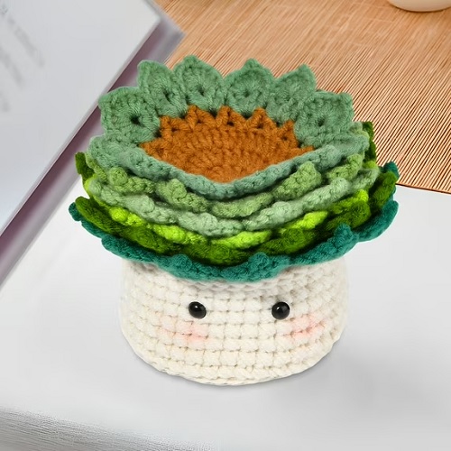 Potted Plant Crochet set