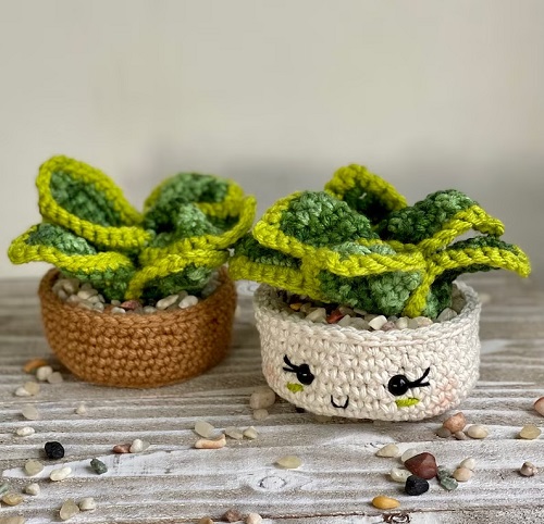 Crochet Dwarf Snake Plants
