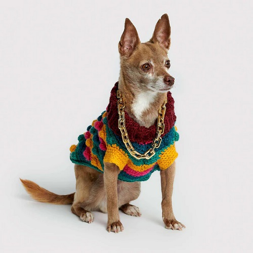 Pet Sweater Crochet Free Patterns 5