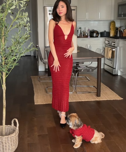 Crocheted Backless Maxi Dress