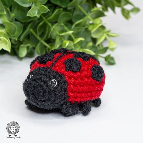 DIY Crochet Ladybug Amigurumi Ideas 4