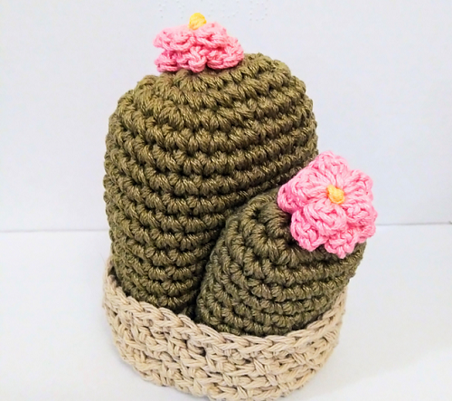 Blooming Mini Cactus Oven Mitten