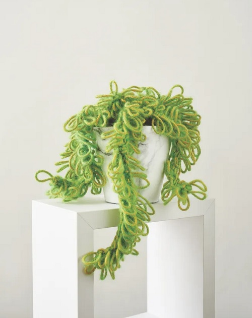 crochet Donkeys Tail plant