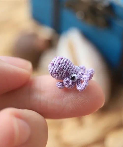 The Tiniest Octopus