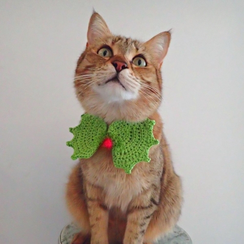 Harriet Holly Cat Collar