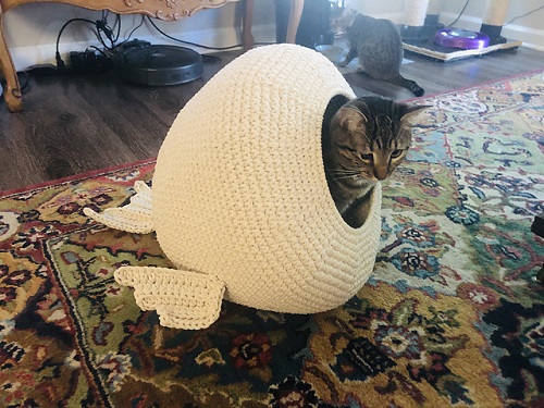 Cat Fish House