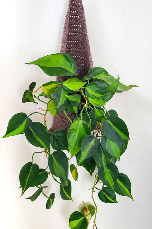 DIY Crochet Hanging Basket Pattern