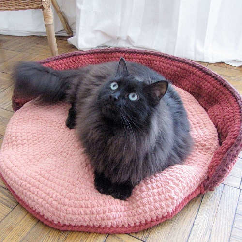Fluffy Cat Bed