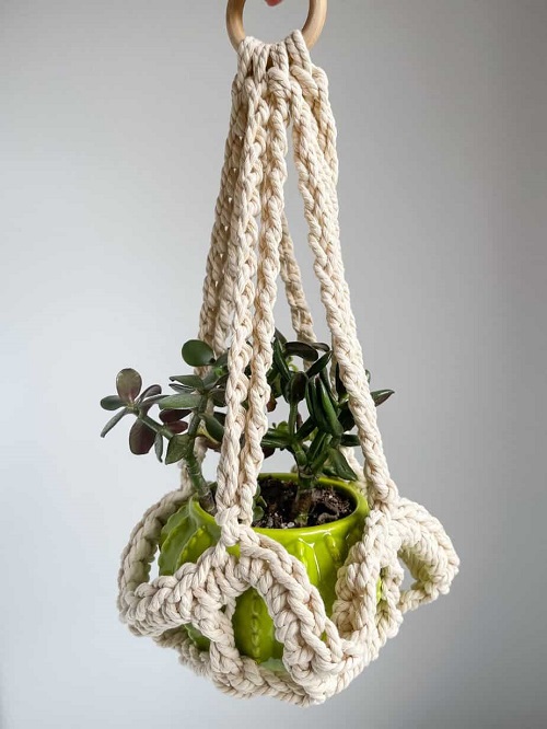 Beginner-Friendly Potted Succulent Holder Idea